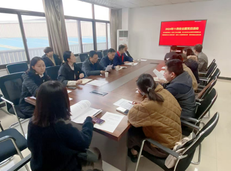 深入學(xué)習(xí)黨的二十屆三中全會(huì)精神，開(kāi)展主題黨日活動(dòng)